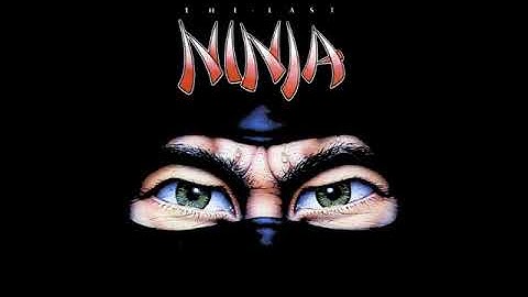 Last Ninja 1 - 03 - Load Wilderness
