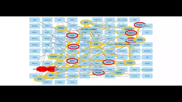 TieDIE subnetworks in Cytoscape