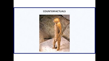 15b. Causality II