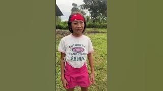 NO FIGHTING THANKS TO EYE BALL CANDY