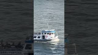 BOATS 🚤 ROTTERDAM 💥😍🤩😎😃