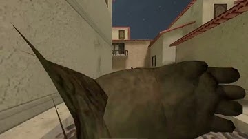 CS 1.6 SERVER VS Ray C2 | BEST C2/BOTNET 2024 | L4 POWER