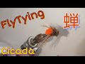 FlyTying:Cicada 夏だー セミだ～/ﾌﾗｲﾀｲｲﾝｸﾞ/ﾄﾞﾗｲﾌﾗｲ
