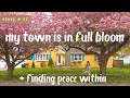 Experience spring  my town is in full bloom  finding peace within and cultivating a calm heart