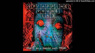 Strapping Young Lad - 02 - In the Rainy Season