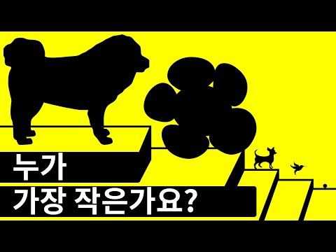 전 세계에서 역대 가장 작은 생명체