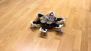 Hexapod Robot Running/Fast Walking