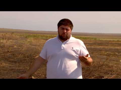 კახეთი - გადასახადი სასოფლო-სამეურნეო მიწებზე - კითხვა