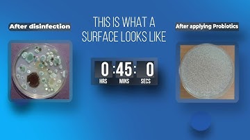 Disinfection vs Probiotics