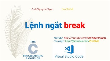 Bài 4.4: Lệnh ngắt break trong lập trình C