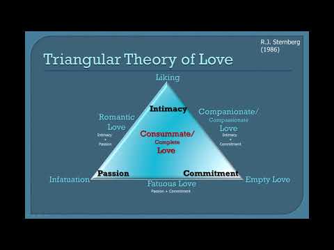 Sternberg&rsquo;s Theories of Love