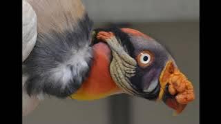 Stileto & Silent Child - Super Villain (feat. Kendyle Paige) (pristinely clean)