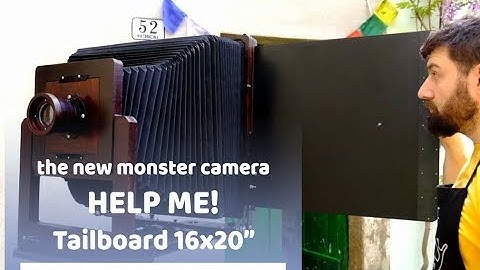 help me! the monster camera! 16x20" tailboard by StenopeiKa
