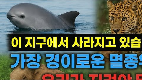 세계 멸종위기의 동물들