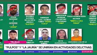 Pulpos Y La Jauría Se Unirían En Actividades Delictivas