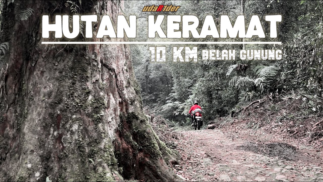 Melewati Hutan Keramat menuju Kasepuhan Gelaralam, Jangan Sendirian‼️ [2/3]