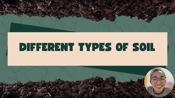 Soil Science Basics: The three main Soil types