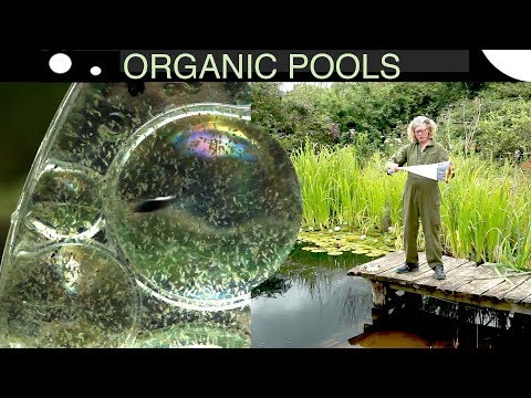 How to get rid of algae without chemicals in an organic pool