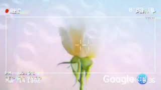 세계 금궤은행 구글홍보대표 ceo 구글 위상높히 비상 하라 youtu.be 페이스북 G검색추천 비영리돕기 준칙 우수발췌 네이버기록 홍보 구글사랑 쇼츠 59초