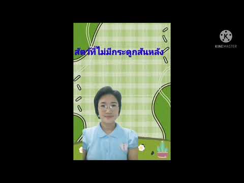 สัตว์ที่ไม่มีกระดูกสันหลัง