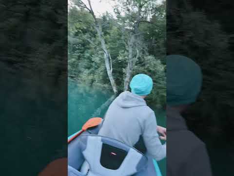 Доброе рыбно-летное утро