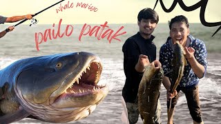 “मछली पकड़ने का सबसे अच्छा तरीका | Best Fishing Techniques”“मछली पकड़ने का मज़ा | Fishing Fun”