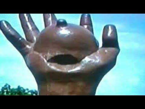 Walaloo Haarawa 2021 Aanoleen Nuuf Woyyu Zabiba Robatin 