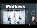 Mellows &quot;Rabbit Love it!&quot; (First Time Reaction)