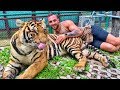 When Your Best Friends Are Animals.. ( funny compilation )