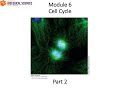 20 Cell Biology Module 6 Part 2