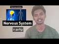 3 nervous system introduction in   vasanth murugesan