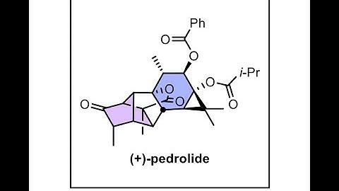 Enantioselective Total Synthesis of (+)-Pedrolide with Marlene Fadel