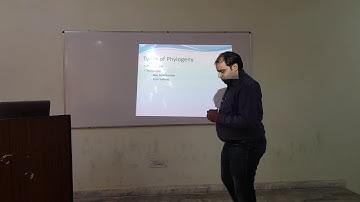 Phylogenetic Analysis