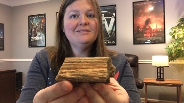 Cycle 1 Week 15 Classical Conversations CC Science Tutor Demo Fossil Mold and Cast Prints Kids