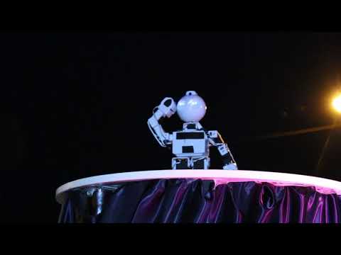 რობოტექნიკის ბანაკი 2019