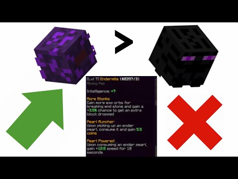 Endermite Pet