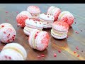 МАКАРОН Малина Манго БЕЗ ТЕРМОМЕТРА / Сублимированные ягоды / Raspberry Mango Macarons