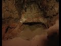 Калининградские исследователи обнаружили подземный ход на юге области