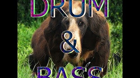 Drum n bass #2 modular synth, keystep pro, circuit rhythm, arranged in daw