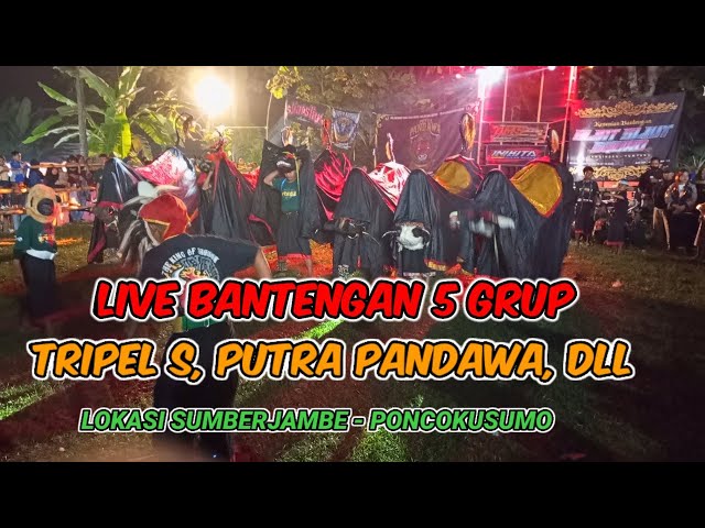 Live BANTENGAN 5 GRUP‼️TRIPEL S, PUTRA PANDAWA DLL‼️LOKASI SUMBERJAMBE - PONCOKUSUMO ❗ class=