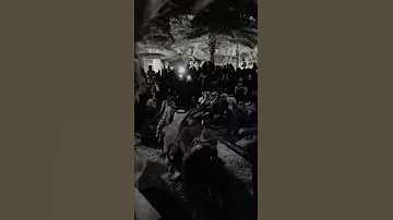 لو ذبحني ياعوض عادي الجزء 2 شيله مجرد ذوق 