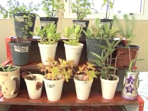 rio gallegos weather FATME OYARZO- MAÑANA NUEVA FERIA DE PRODUCTORES FRUTIHORTÍCOLAS