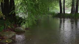 The beautiful little lake is raining(151) , sleep, relax, meditate, study, work, ASMR