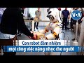 Con robot đảm nhiệm mọi công việc nặng nhọc cho người | VOA Tiếng Việt