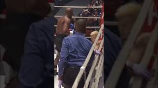 Floyd Mayweather vs Tenshin  Nasukawa Full Fight Highlights