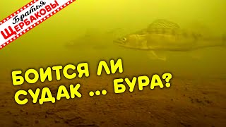 Реакция СТАЙНЫХ СУДАКОВ на ШУМ БУРА! Эксперимент как бы глупый, но интересный! ) Зимняя рыбалка