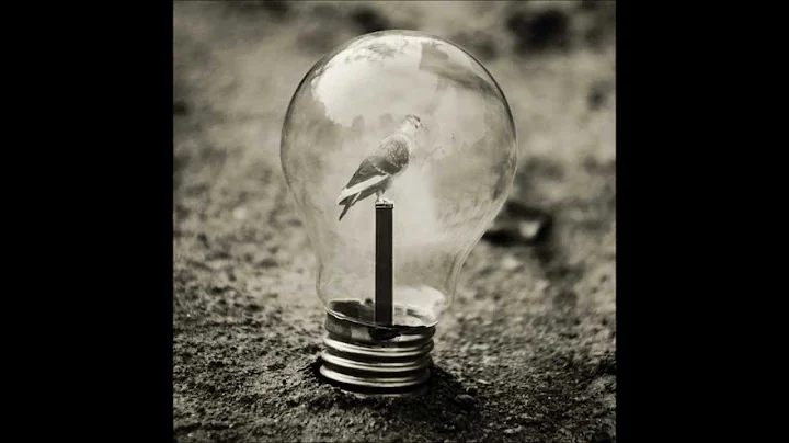 Philip Glass Satyagraha: Protest - Douglas Perry