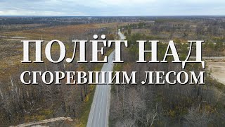 Полет На Дроне Над Сгоревшим Лесом