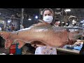 The first time I saw this kind of fish in the market / Giant fish cooking