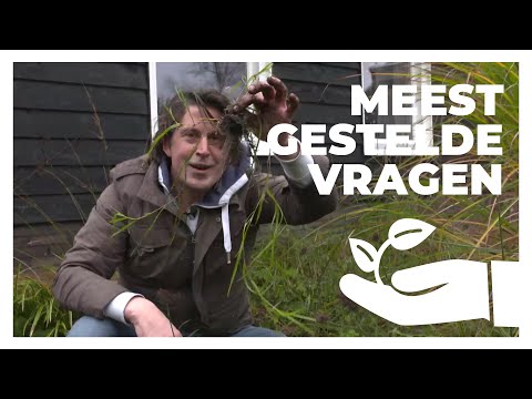 Video: Plantdoder - Voor- En Nadele